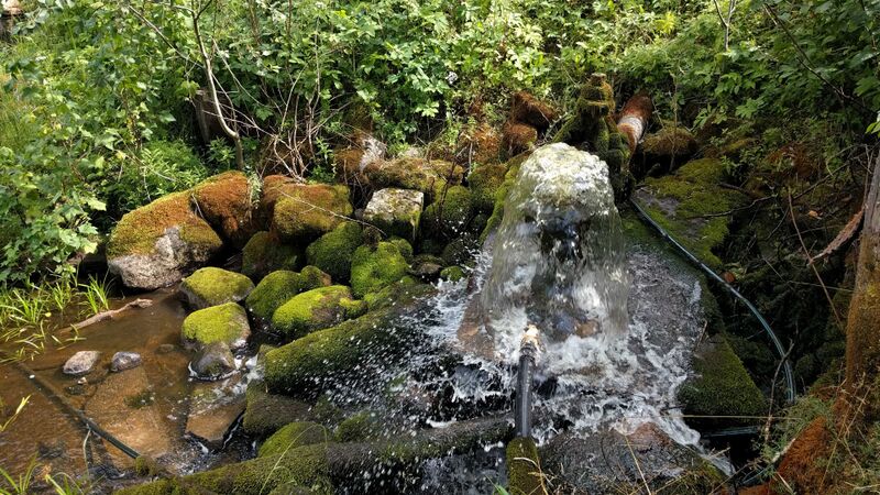 Fail:Saarlaso vesioinas.jpeg