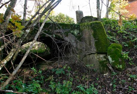 Pöögle/Kuustle veski pealevoolu kanal. Foto: E. Kirt, 2011. a.