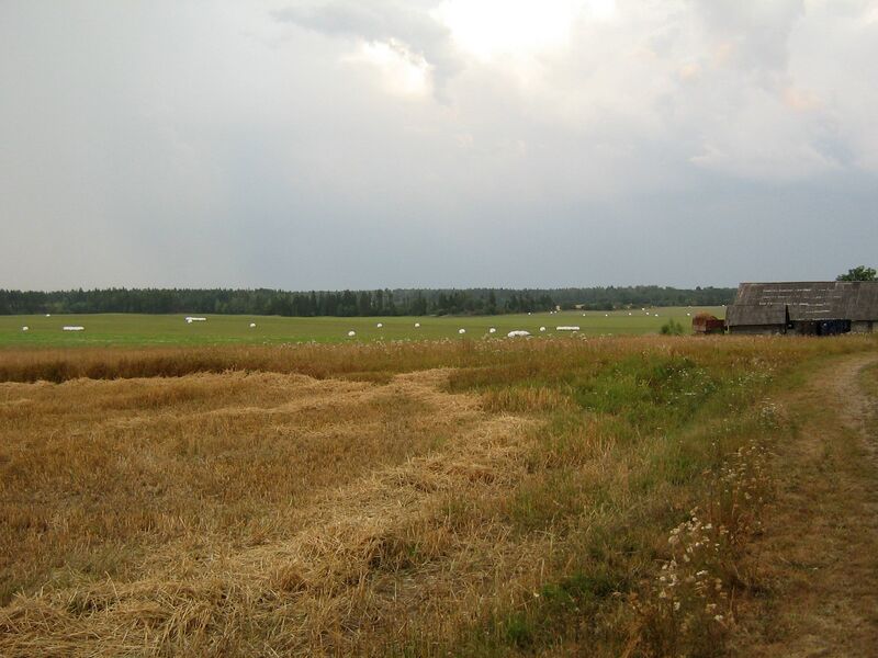 Fail:Paistevälja IMG 2645.JPG