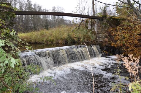 Pöögle/Kuustle veski paisu ülevool. Foto: E. Kirt, 2010. a.