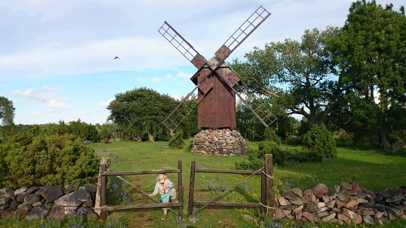 Fail:Ohessaare tuulik nr.2.jpg