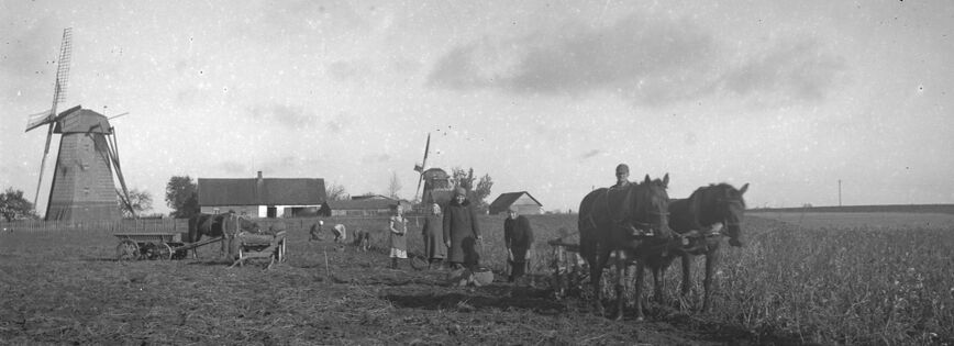 Kartulivõtt Koni tuuliku juures.