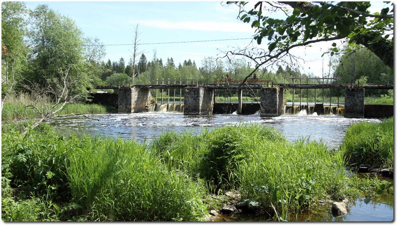 Fail:Saunja pais.jpeg