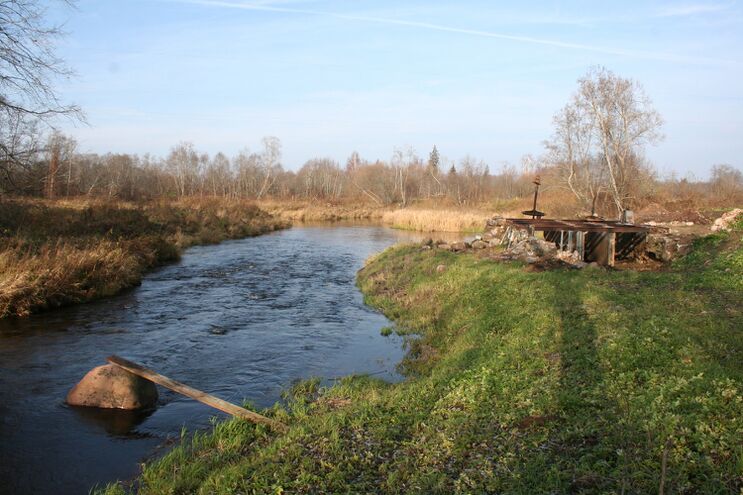 Leebiku veski