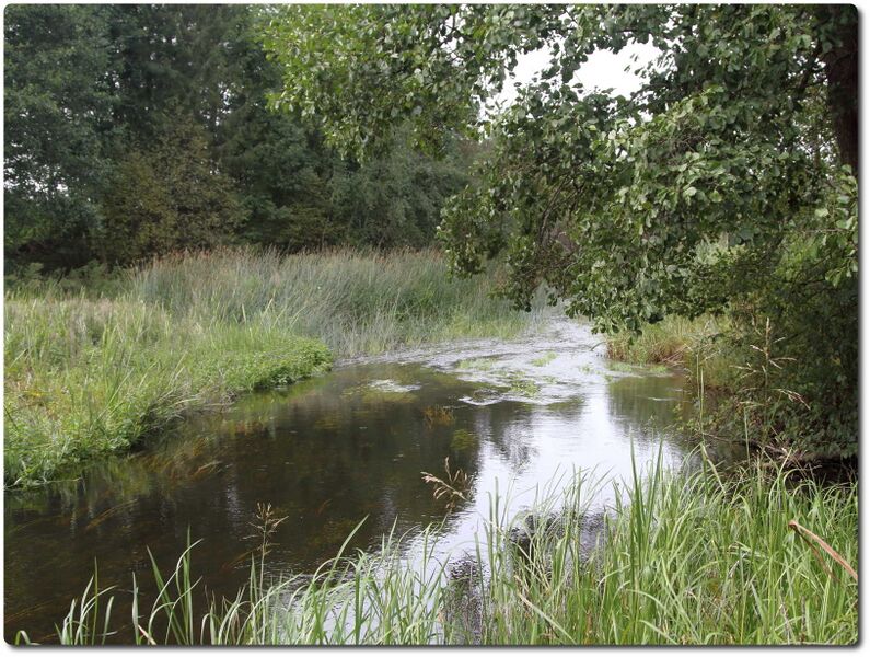 Fail:Saia veski.jpeg