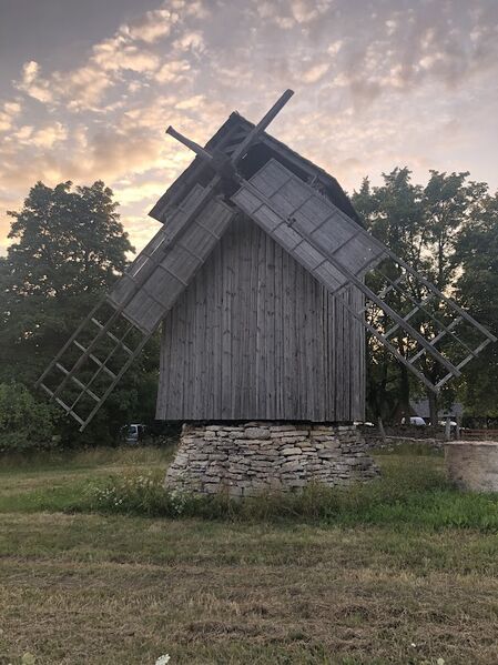 Fail:Rahtla tuulik.jpeg