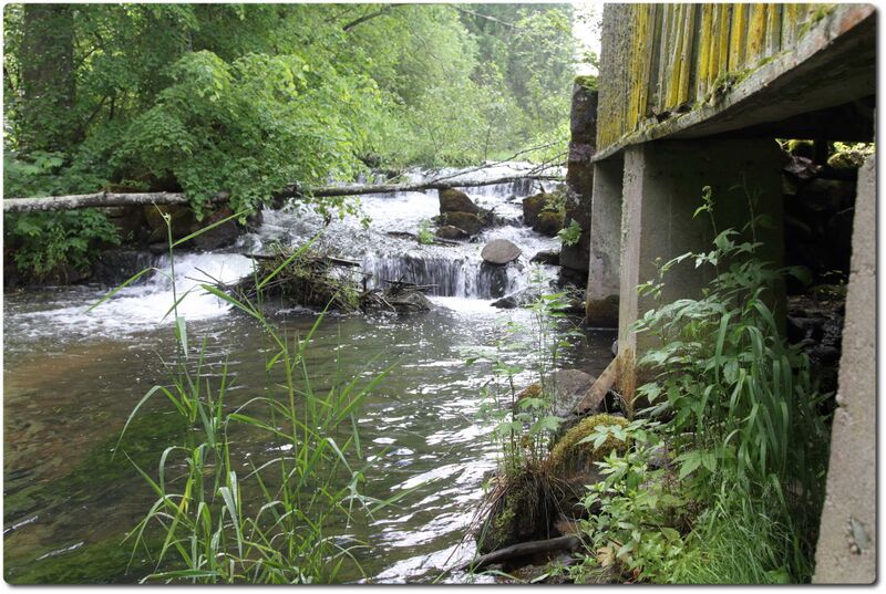 Fail:Tille pais.jpeg