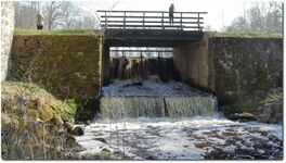 Lahmuse Altveski pais