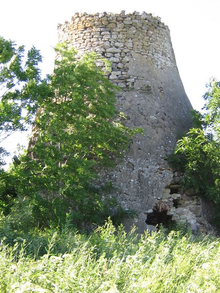 Fail:Metsla tuulik 2. Vello Kallandilt.JPG