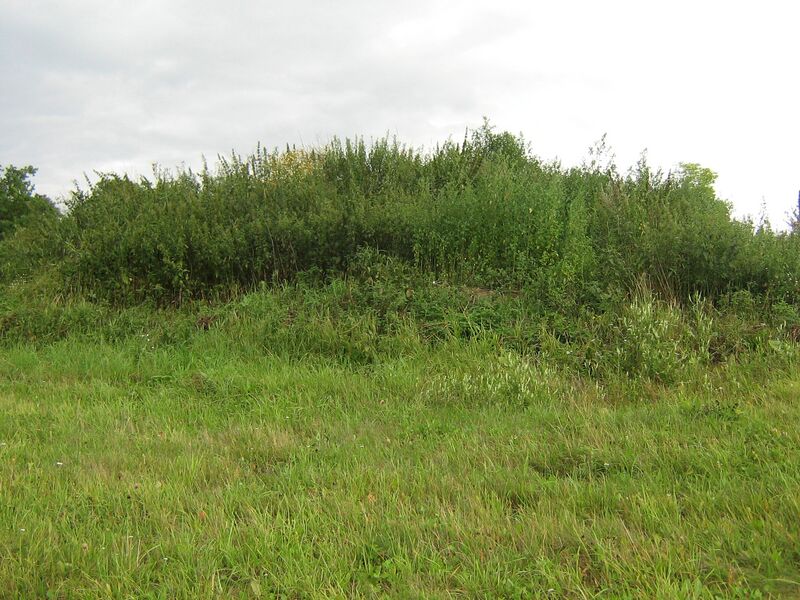 Fail:Karinu veskikoht-1. V. Kallandi.JPG