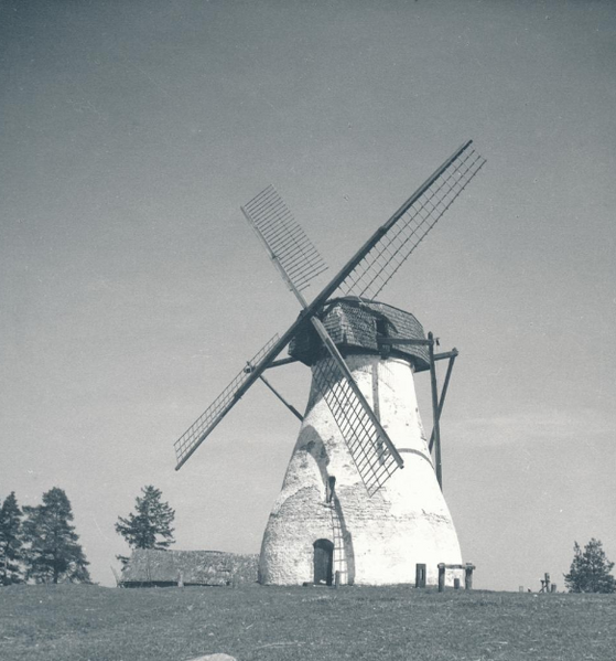 Fail:Muuga veski 1937.png