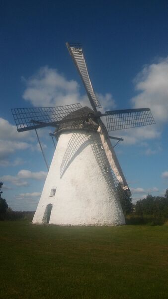 Fail:Ervita tuulik.jpg