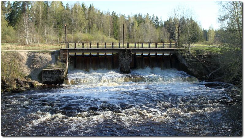 Fail:Kotka pais.jpeg