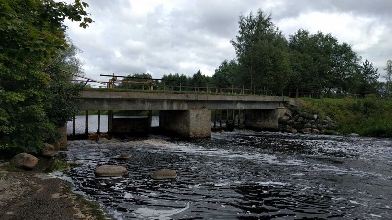 Fail:Tammiku pais1.jpeg