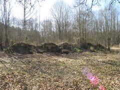 Korba veski varemed - vaade kirdest