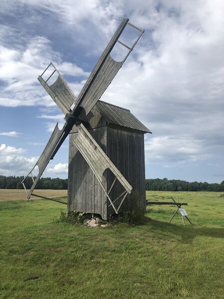 Fail:Kukka tuulik.jpeg