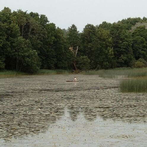 järv 2007 a.