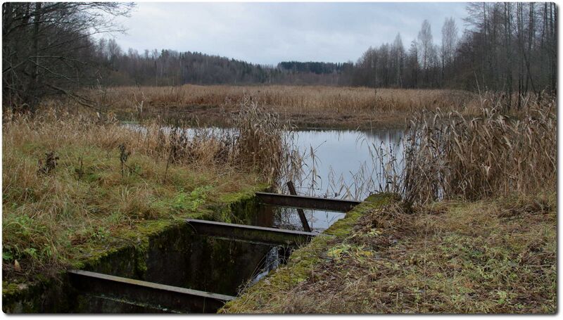 Fail:Sibula veski paisjarv.jpeg