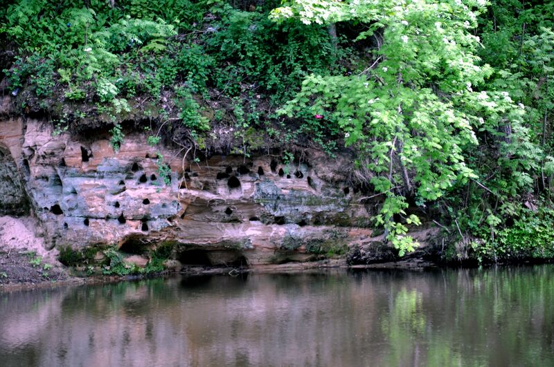 Fail:Tikste j paremkalda devon.2.26.05.12.jpg