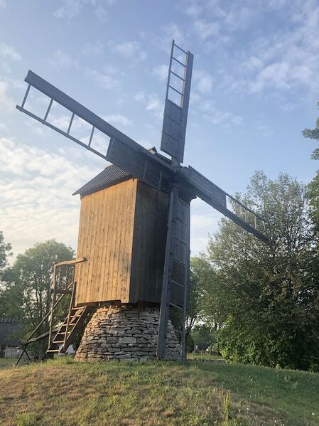 Fail:Viki tuulik.jpeg