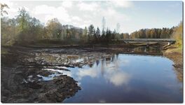 Vetla allalastud paisjärv