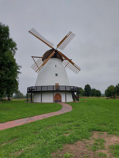 Fail:Suislepa tuulik.jpg