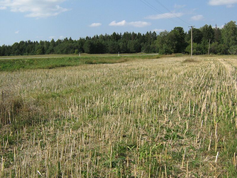 Fail:Paistevälja IMG 2647.JPG