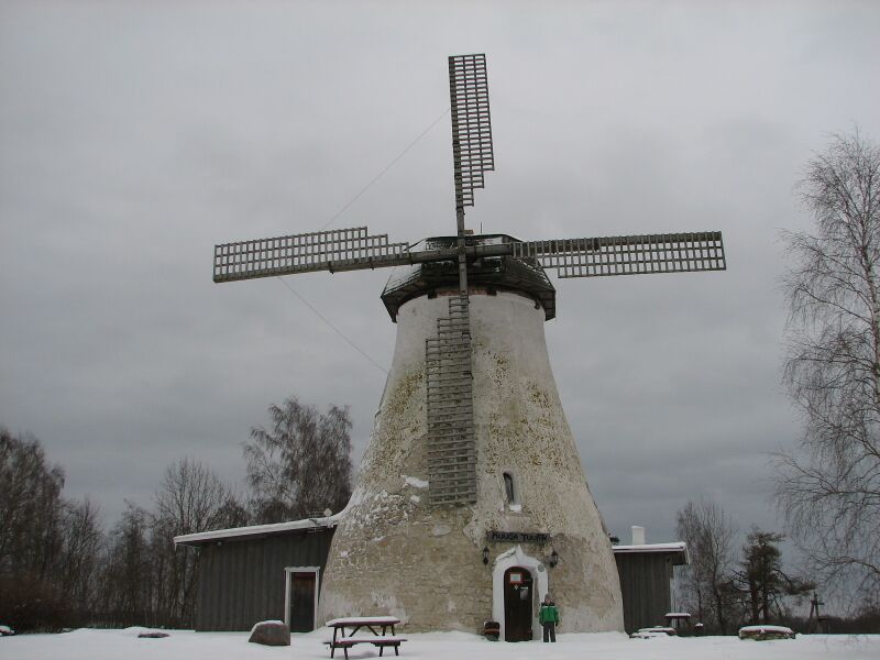 Fail:Muuga tuulik.jpg