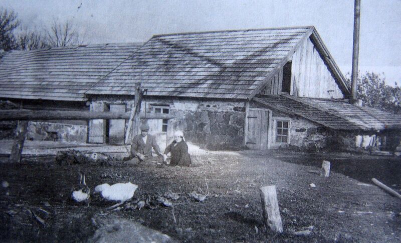 Fail:Metsla tuulik 4. Vello Kallandilt.JPG