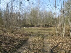 Korba veski varemed - fasaad