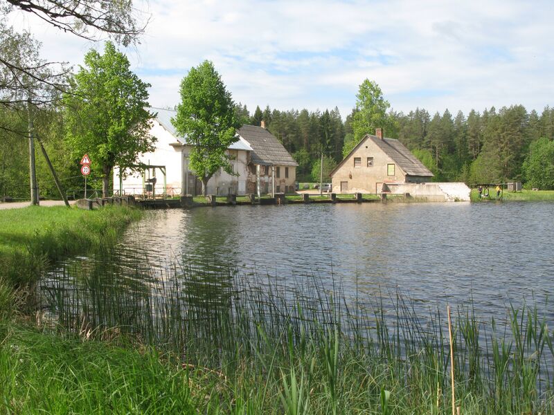 Fail:Luke Mäeveski 2016PTobreluts.jpg