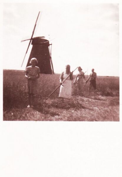 Fail:Puhmu - Avi. Vello Kallandilt.jpg