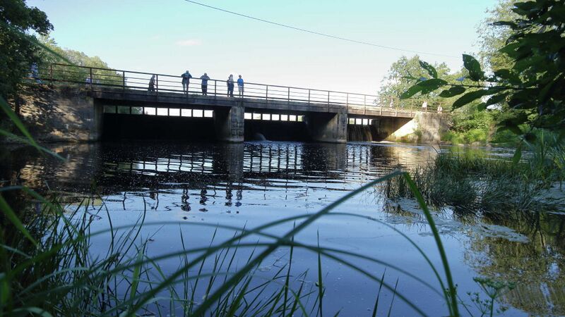 Fail:Harjanurme veski pais.jpeg