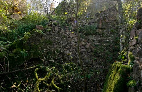 Pöögle/Kuustle veski ülavesi. Foto: E. Kirt, 2012. a.