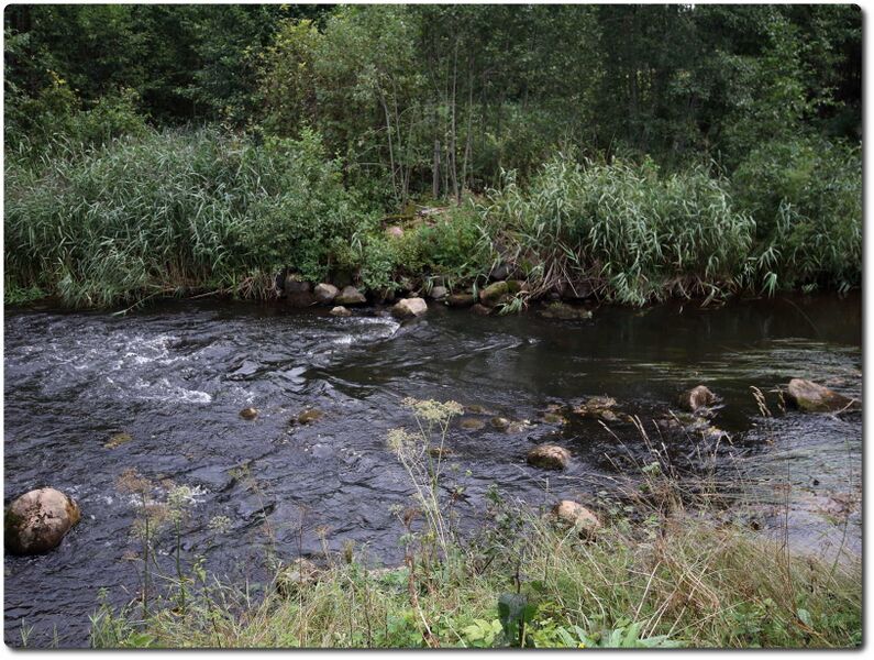 Fail:Nirgu veski jagala jogi.jpeg