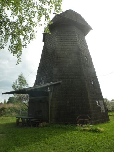 Koni tuulik