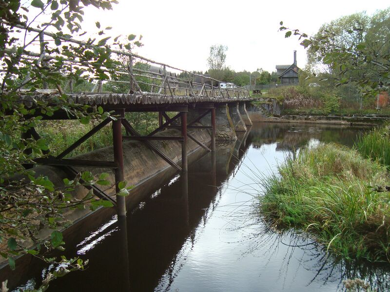 Fail:Pikaveski tamm. V. Kallandi.jpg