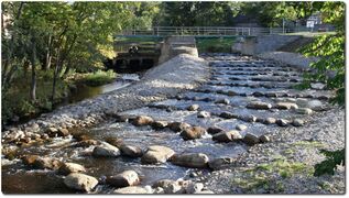 Kalatrepp veski juures