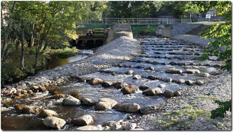 Fail:Kose kalatrepp.jpeg