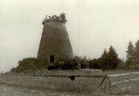 Tuuleveski vare Ambla-Koigis Reineveres 1978, PM F 2361:12, Järvamaa Muuseum