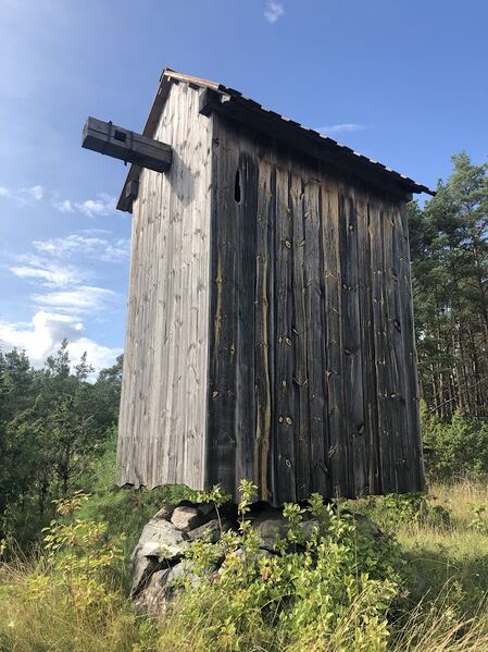 Fail:Vahtrepa tuulik.jpeg