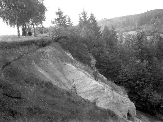 Orjakivi või Keisripalu või Helme kalmistu paljand