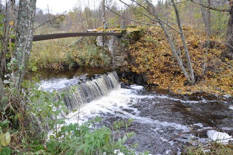 Pöögle/Kuustle veski varjadeta ülevoolupais. Foto: E. Kirt, 2010. a.