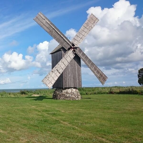 Fail:Salme tuulik.jpg