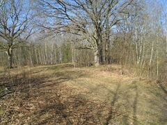 Vana tee trass Korba veski suunas