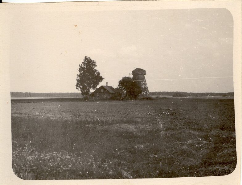 Fail:Ellavere küla Veskimäe 1.jpg