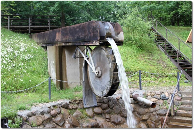 Fail:Vesiratas oobikorus.jpeg