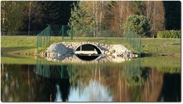 Kaunissaare kalatrepp