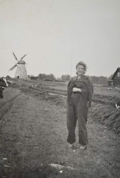 Fail:Kiiu tuulik kunagi.jpg