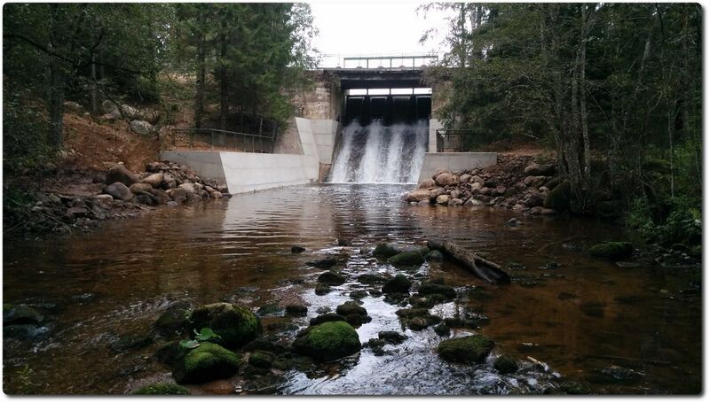 Fail:Saesaare pais 2016.jpeg